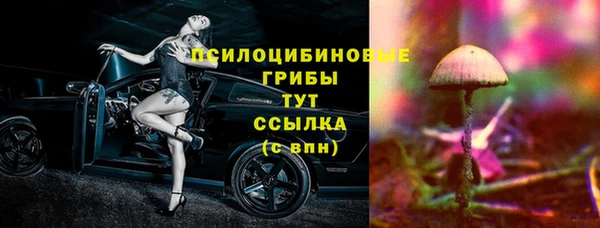 apvp Остров