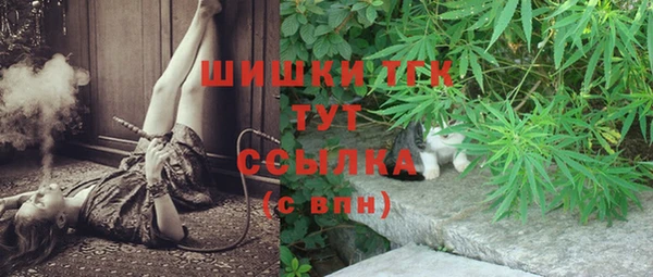 МДПВ Абаза